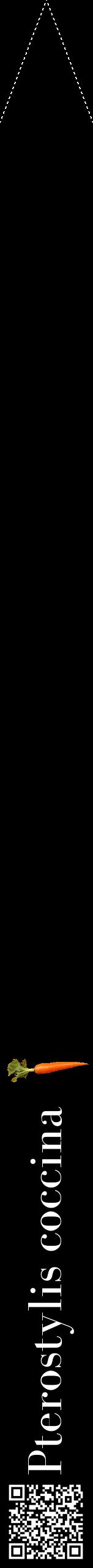 Étiquette de : Pterostylis coccina - format b - style blanche59bod avec qrcode et comestibilité simplifiée