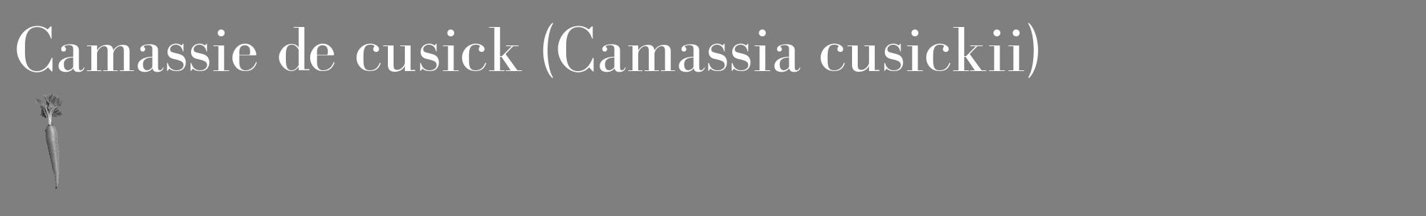 Étiquette de : Camassia cusickii - format c - style blanche31_basique_basiquebod avec comestibilité simplifiée