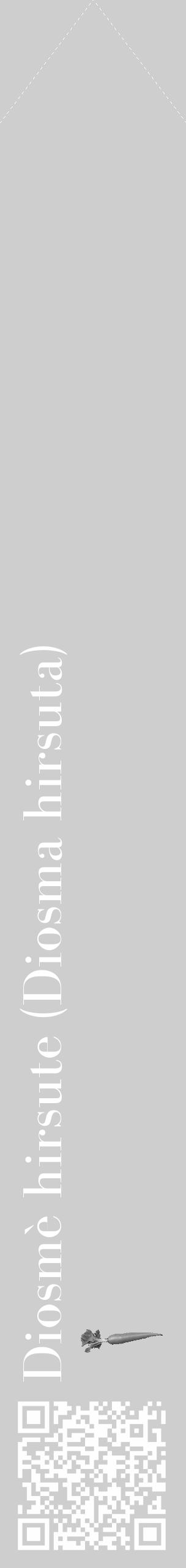 Étiquette de : Diosma hirsuta - format c - style blanche17_simple_simplebod avec qrcode et comestibilité simplifiée - position verticale