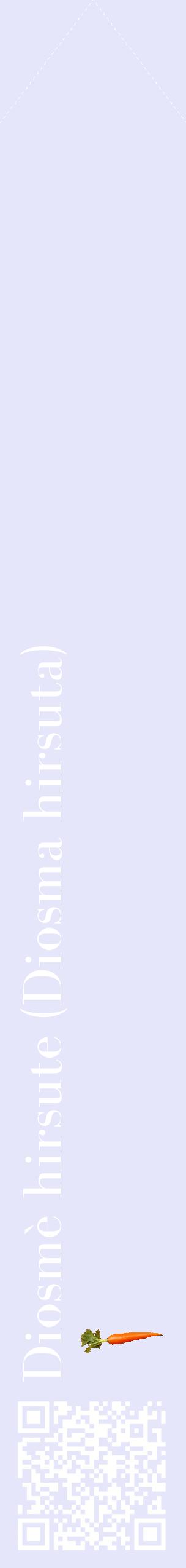 Étiquette de : Diosma hirsuta - format c - style blanche55_simplebod avec qrcode et comestibilité simplifiée