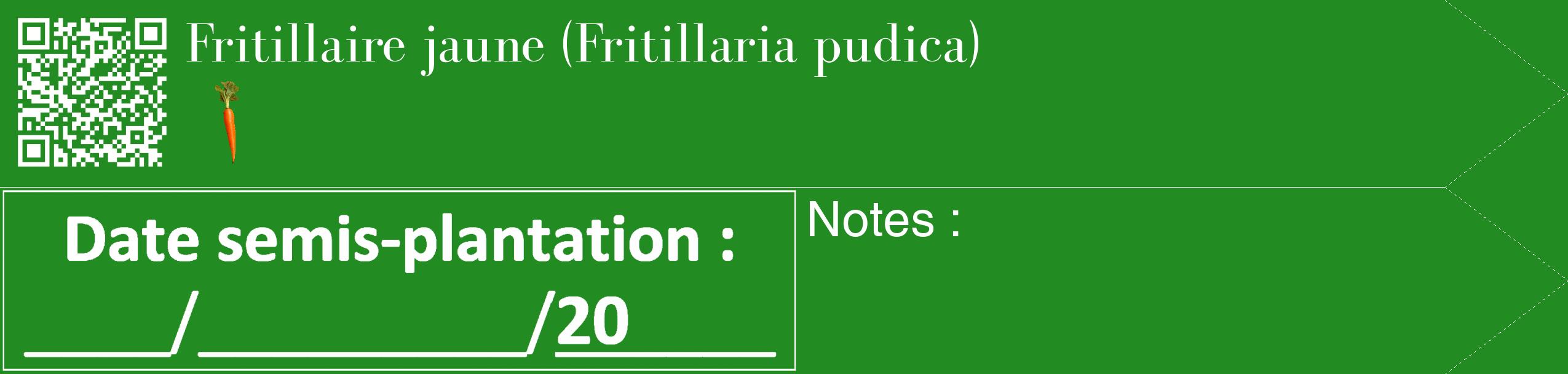 Étiquette de : Fritillaria pudica - format c - style blanche10_simple_simplebod avec qrcode et comestibilité simplifiée