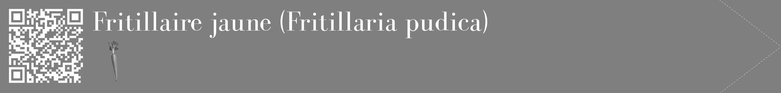 Étiquette de : Fritillaria pudica - format c - style blanche57_simple_simplebod avec qrcode et comestibilité simplifiée