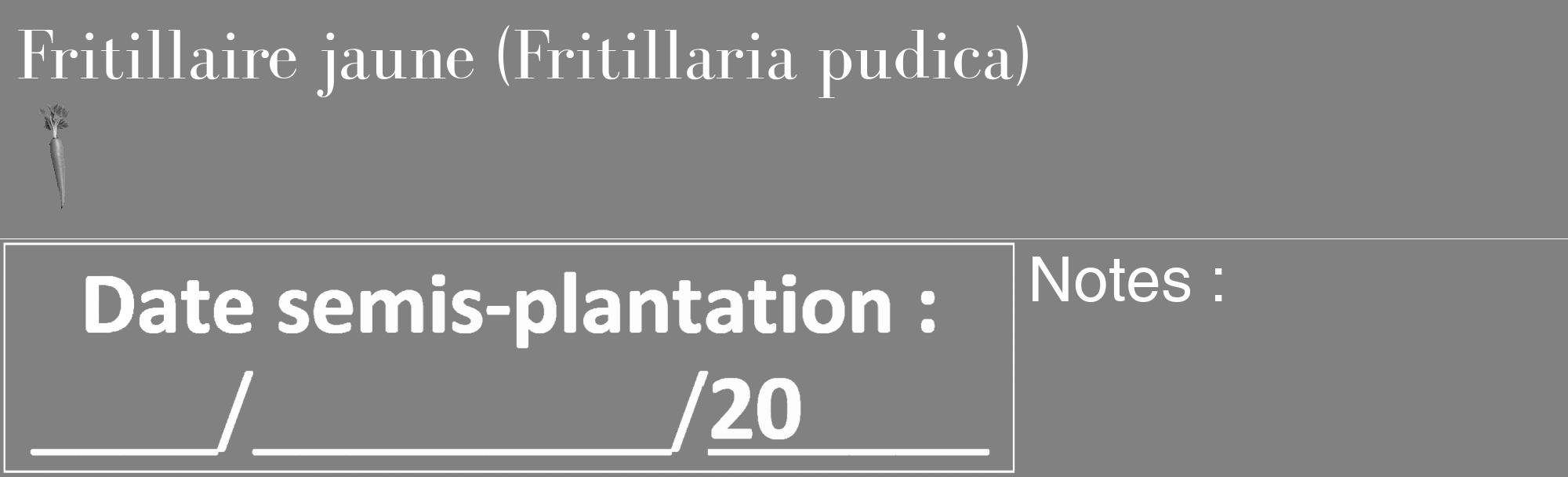 Étiquette de : Fritillaria pudica - format c - style blanche50_basique_basiquebod avec comestibilité simplifiée