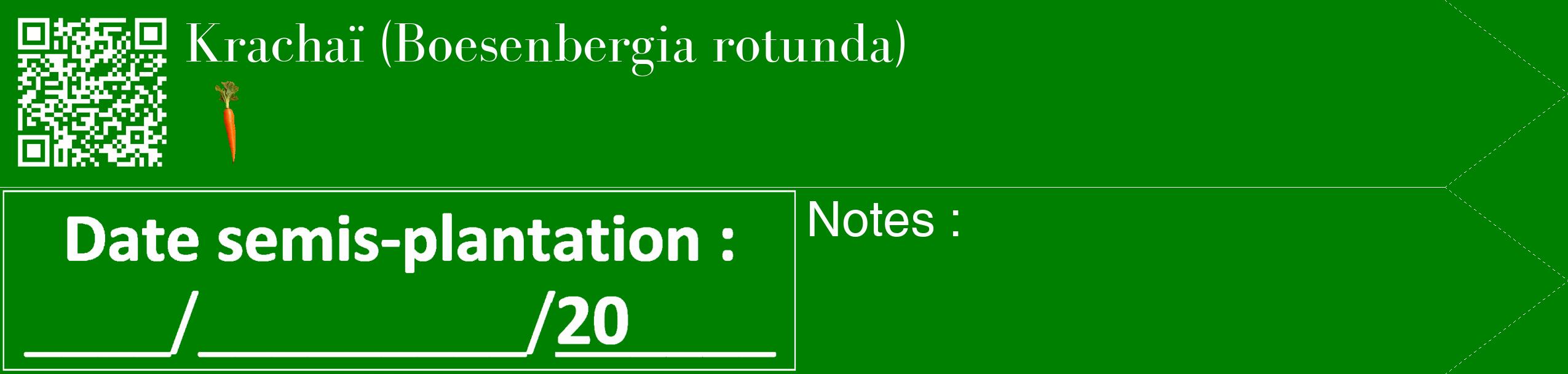 Étiquette de : Boesenbergia rotunda - format c - style blanche9_simple_simplebod avec qrcode et comestibilité simplifiée