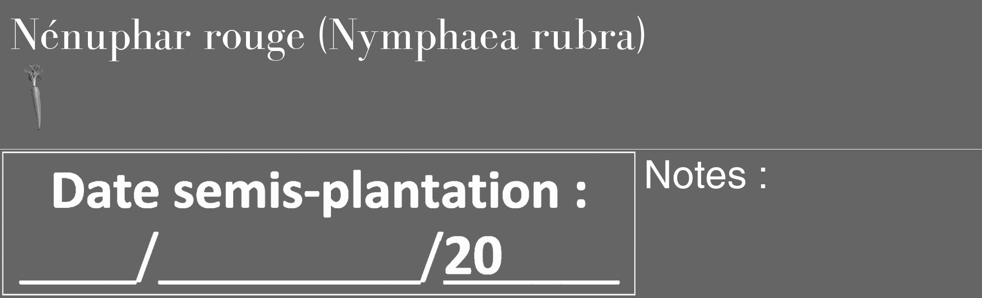 Étiquette de : Nymphaea rubra - format c - style blanche32_basique_basiquebod avec comestibilité simplifiée