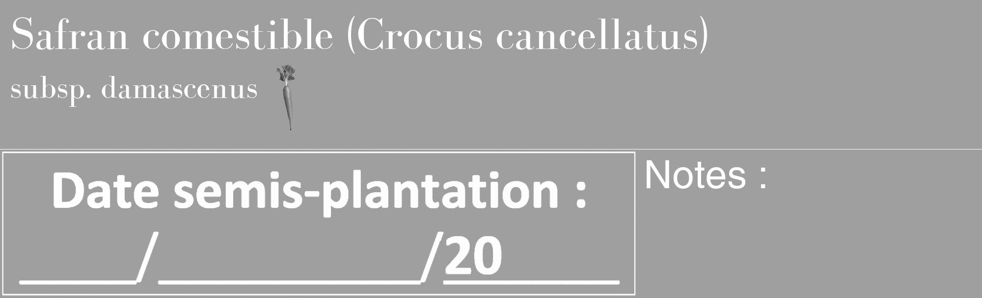 Étiquette de : Crocus cancellatus subsp. damascenus - format c - style blanche24_basique_basiquebod avec comestibilité simplifiée