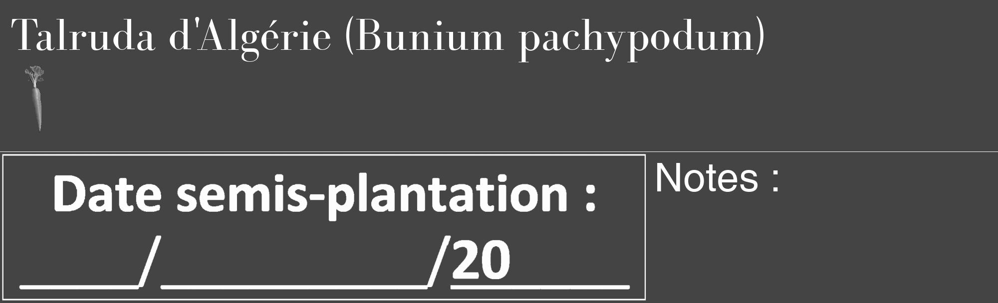 Étiquette de : Bunium pachypodum - format c - style blanche48_basique_basiquebod avec comestibilité simplifiée