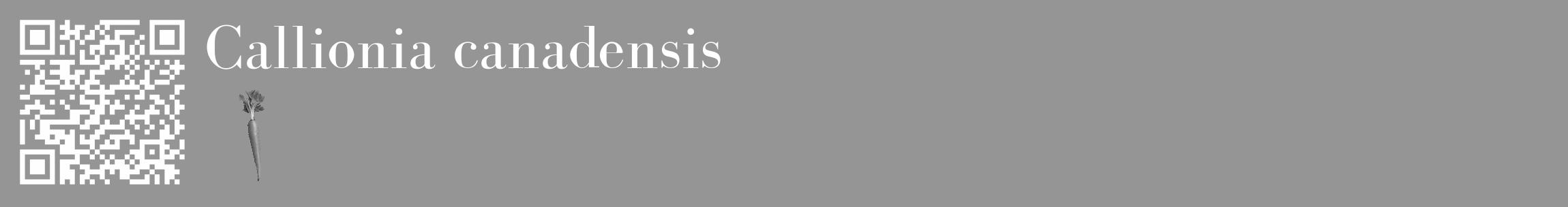 Étiquette de : Callionia canadensis - format c - style blanche16_basique_basiquebod avec qrcode et comestibilité simplifiée
