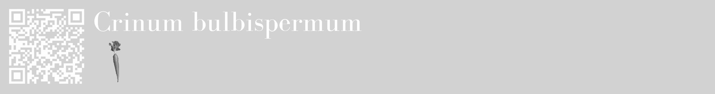 Étiquette de : Crinum bulbispermum - format c - style blanche14_basique_basiquebod avec qrcode et comestibilité simplifiée