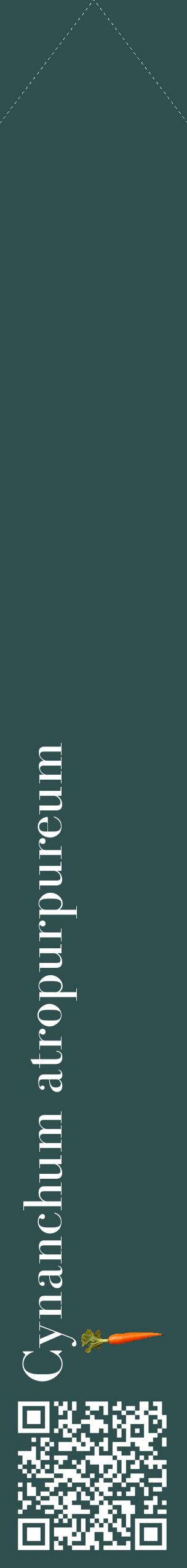 Étiquette de : Cynanchum atropurpureum - format c - style blanche58_simplebod avec qrcode et comestibilité simplifiée