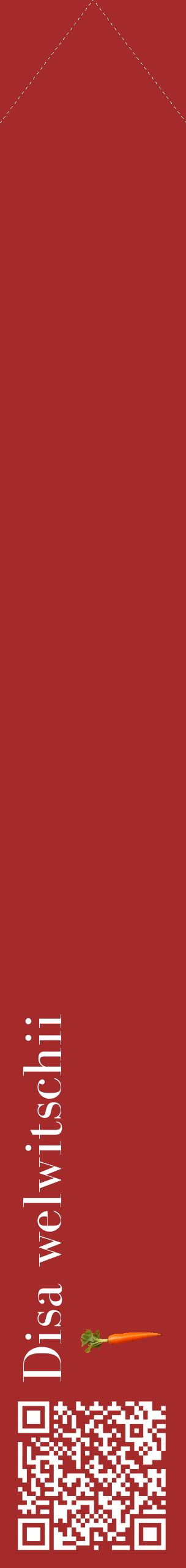 Étiquette de : Disa welwitschii - format c - style blanche33_simplebod avec qrcode et comestibilité simplifiée