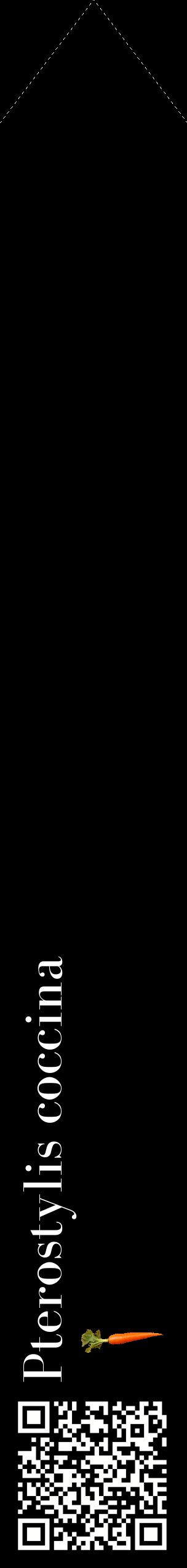 Étiquette de : Pterostylis coccina - format c - style blanche59_simplebod avec qrcode et comestibilité simplifiée
