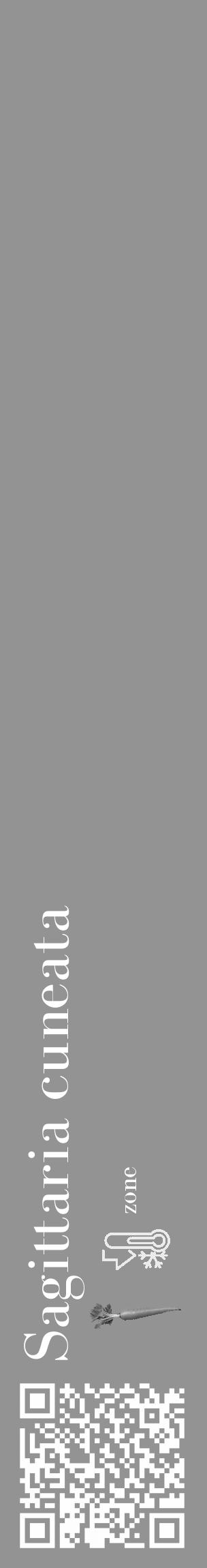 Étiquette de : Sagittaria cuneata - format c - style blanche44_basique_basiquebod avec qrcode et comestibilité simplifiée - position verticale