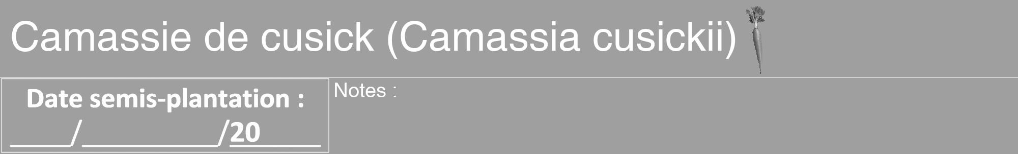 Étiquette de : Camassia cusickii - format a - style blanche24basiquehel avec comestibilité simplifiée
