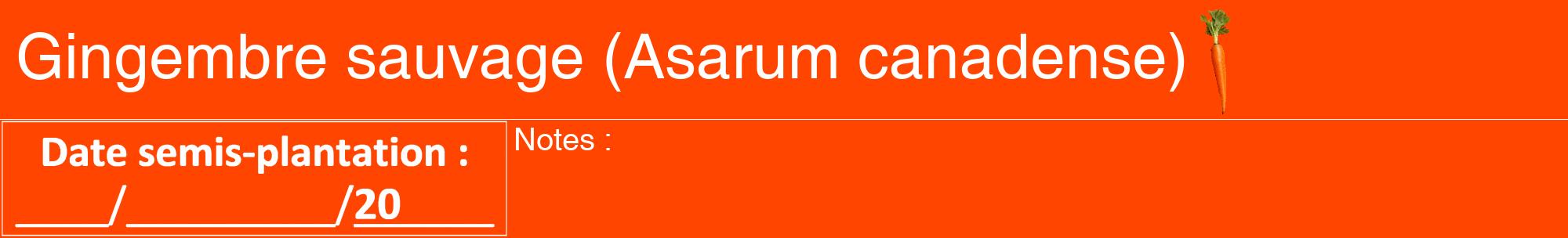 Étiquette de : Asarum canadense - format a - style blanche26hel avec comestibilité simplifiée