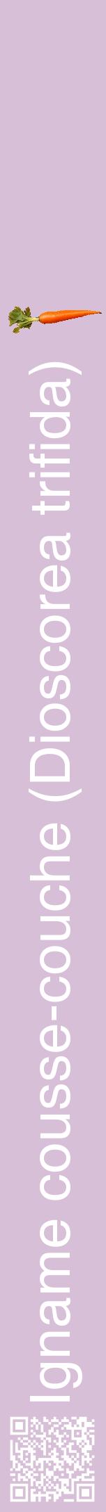 Étiquette de : Dioscorea trifida - format a - style blanche54hel avec qrcode et comestibilité simplifiée