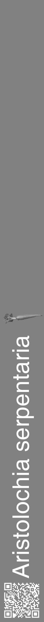 Étiquette de : Aristolochia serpentaria - format a - style blanche50hel avec qrcode et comestibilité simplifiée - position verticale