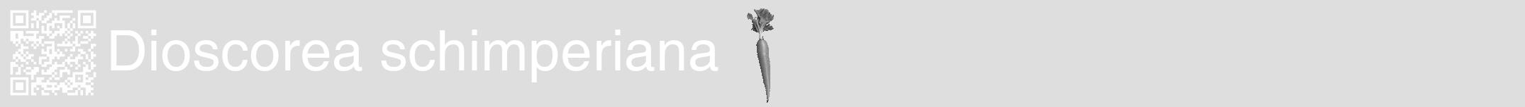 Étiquette de : Dioscorea schimperiana - format a - style blanche20hel avec qrcode et comestibilité simplifiée