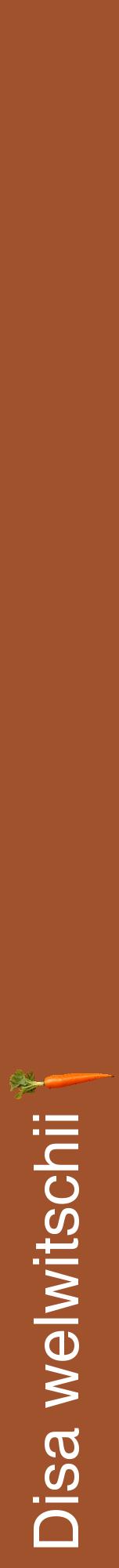 Étiquette de : Disa welwitschii - format a - style blanche32hel avec comestibilité simplifiée