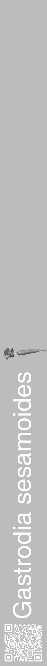 Étiquette de : Gastrodia sesamoides - format a - style blanche1hel avec qrcode et comestibilité simplifiée - position verticale
