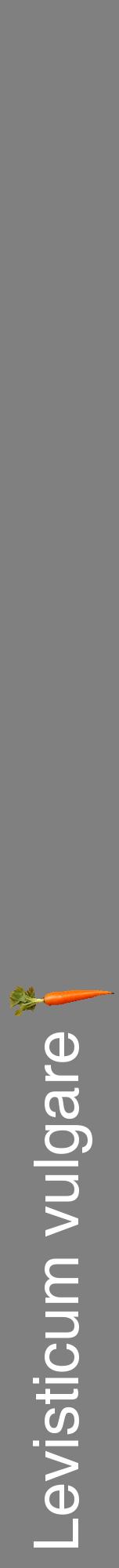 Étiquette de : Levisticum vulgare - format a - style blanche57hel avec comestibilité simplifiée