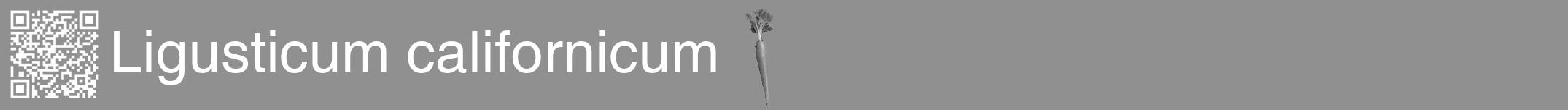 Étiquette de : Ligusticum californicum - format a - style blanche4hel avec qrcode et comestibilité simplifiée