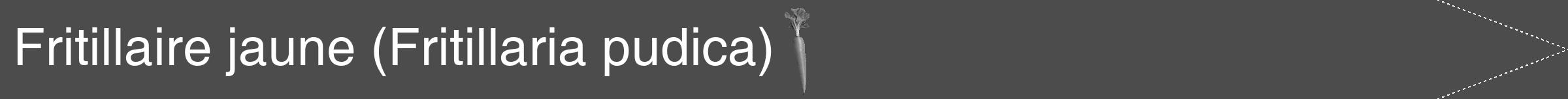 Étiquette de : Fritillaria pudica - format b - style blanche27hel avec comestibilité simplifiée