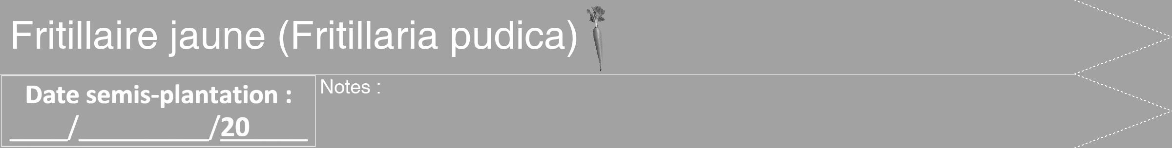 Étiquette de : Fritillaria pudica - format b - style blanche38hel avec comestibilité simplifiée