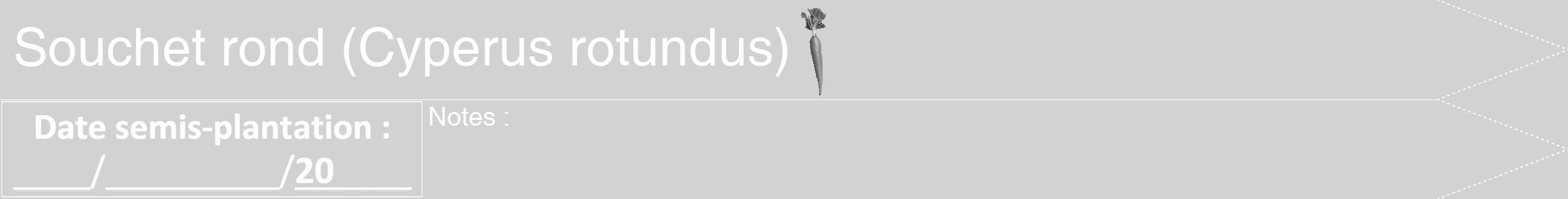 Étiquette de : Cyperus rotundus - format b - style blanche14hel avec comestibilité simplifiée