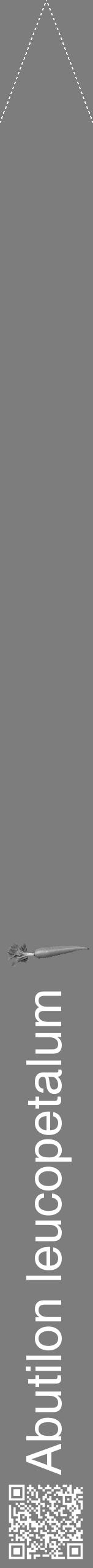 Étiquette de : Abutilon leucopetalum - format b - style blanche35hel avec qrcode et comestibilité simplifiée - position verticale