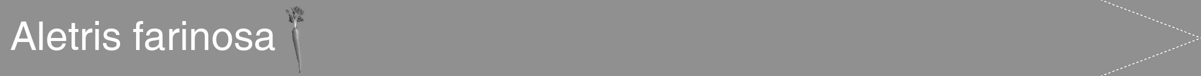 Étiquette de : Aletris farinosa - format b - style blanche4hel avec comestibilité simplifiée