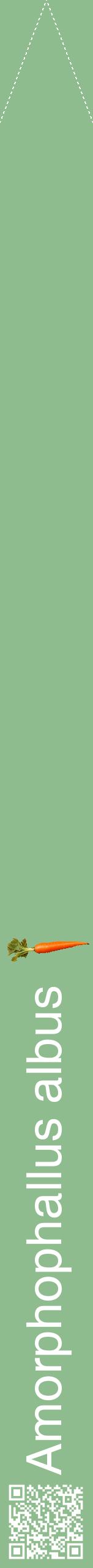 Étiquette de : Amorphophallus albus - format b - style blanche13hel avec qrcode et comestibilité simplifiée