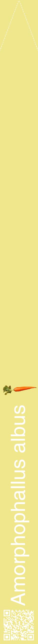 Étiquette de : Amorphophallus albus - format b - style blanche20hel avec qrcode et comestibilité simplifiée
