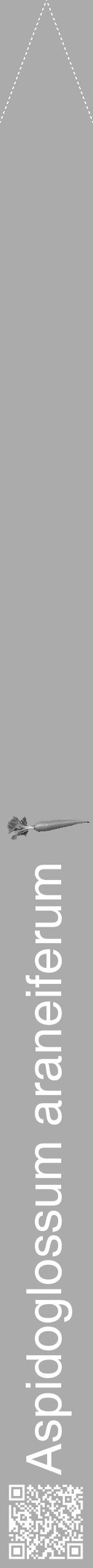 Étiquette de : Aspidoglossum araneiferum - format b - style blanche37simplehel avec qrcode et comestibilité simplifiée - position verticale
