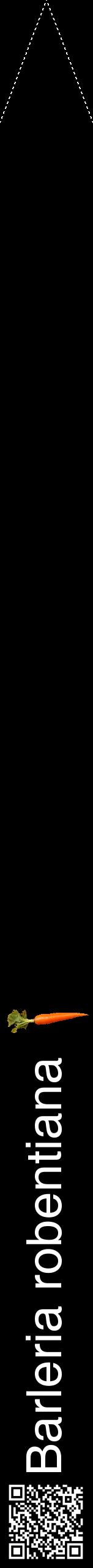 Étiquette de : Barleria robentiana - format b - style blanche59hel avec qrcode et comestibilité simplifiée