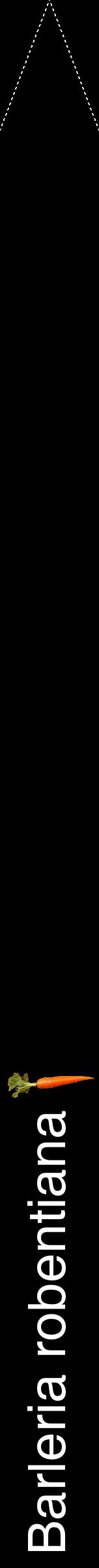 Étiquette de : Barleria robentiana - format b - style blanche59hel avec comestibilité simplifiée