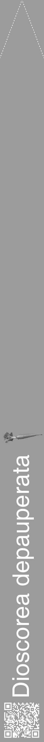 Étiquette de : Dioscorea depauperata - format b - style blanche52simplehel avec qrcode et comestibilité simplifiée - position verticale
