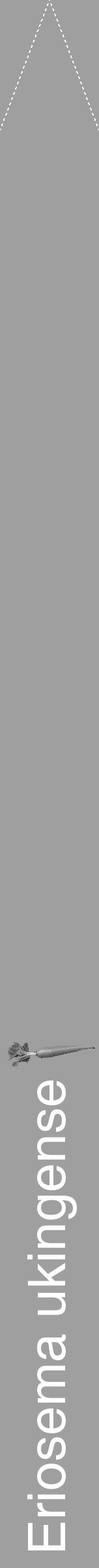Étiquette de : Eriosema ukingense - format b - style blanche24hel avec comestibilité simplifiée - position verticale