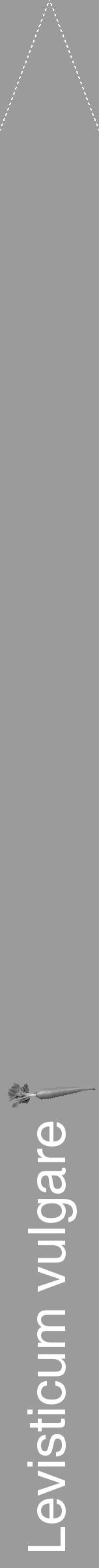 Étiquette de : Levisticum vulgare - format b - style blanche52hel avec comestibilité simplifiée - position verticale