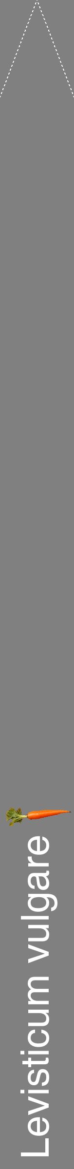 Étiquette de : Levisticum vulgare - format b - style blanche57hel avec comestibilité simplifiée