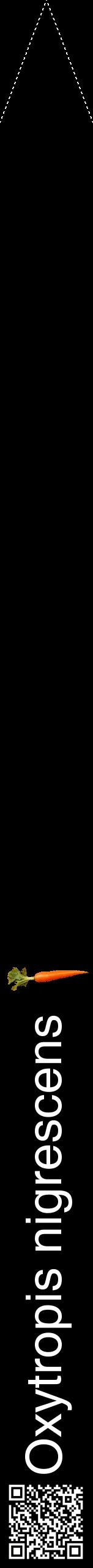 Étiquette de : Oxytropis nigrescens - format b - style blanche59hel avec qrcode et comestibilité simplifiée