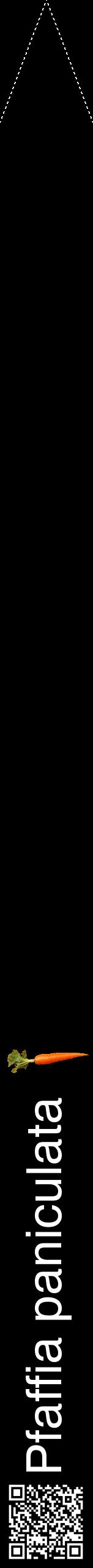 Étiquette de : Pfaffia paniculata - format b - style blanche59hel avec qrcode et comestibilité simplifiée - position verticale