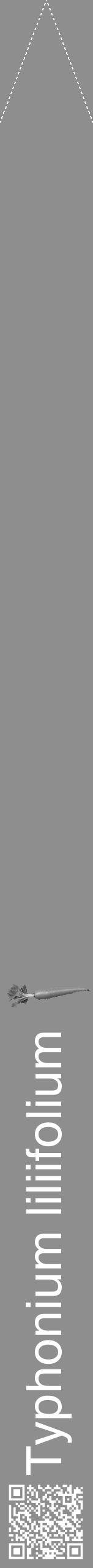 Étiquette de : Typhonium liliifolium - format b - style blanche25hel avec qrcode et comestibilité simplifiée - position verticale