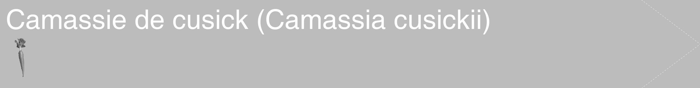 Étiquette de : Camassia cusickii - format c - style blanche1_simple_simplehel avec comestibilité simplifiée