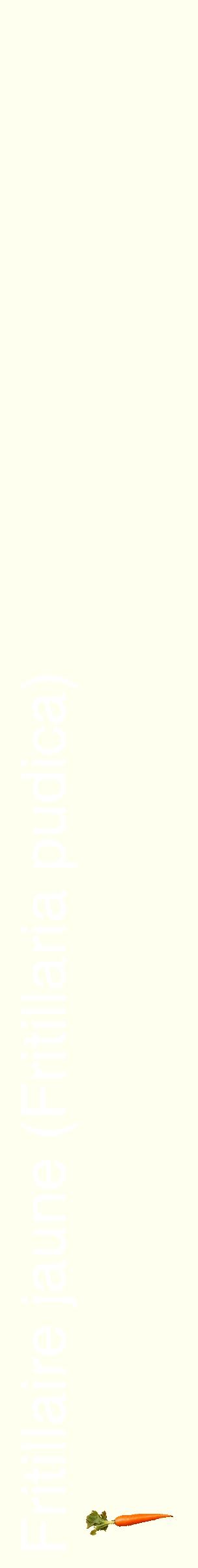 Étiquette de : Fritillaria pudica - format c - style blanche19_simplehel avec comestibilité simplifiée