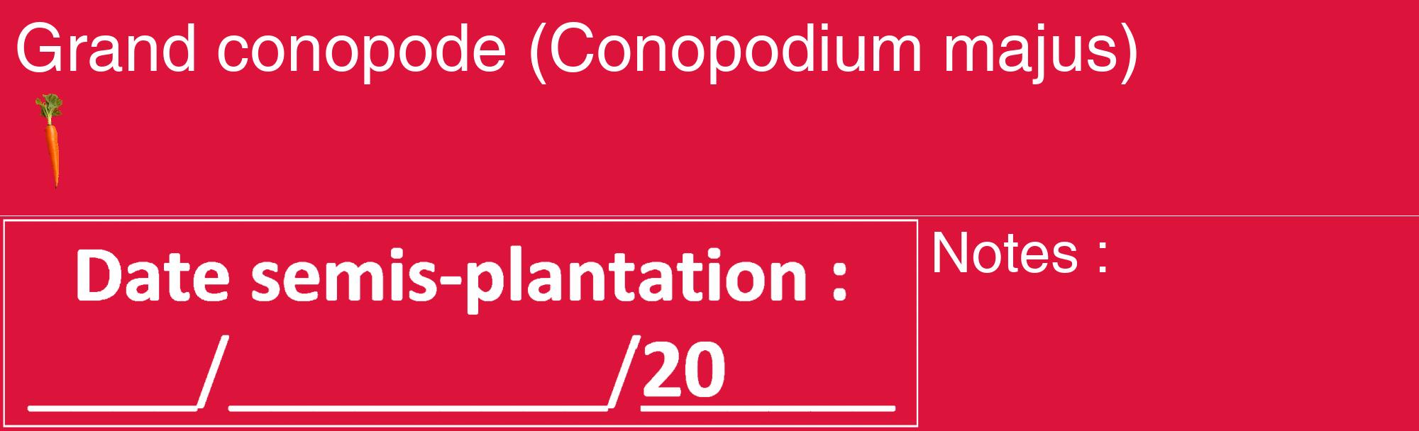 Étiquette de : Conopodium majus - format c - style blanche36_basique_basiquehel avec comestibilité simplifiée