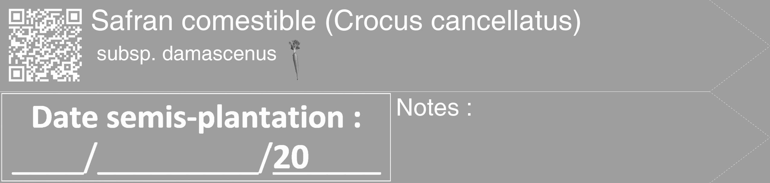 Étiquette de : Crocus cancellatus subsp. damascenus - format c - style blanche42_simple_simplehel avec qrcode et comestibilité simplifiée