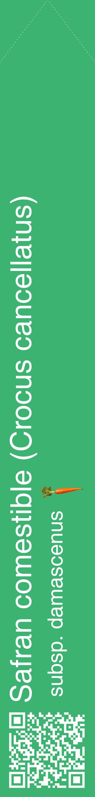 Étiquette de : Crocus cancellatus subsp. damascenus - format c - style blanche12_simplehel avec qrcode et comestibilité simplifiée