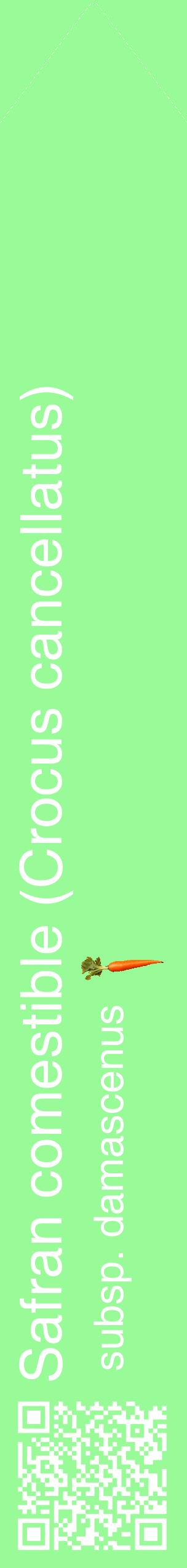 Étiquette de : Crocus cancellatus subsp. damascenus - format c - style blanche14_simplehel avec qrcode et comestibilité simplifiée