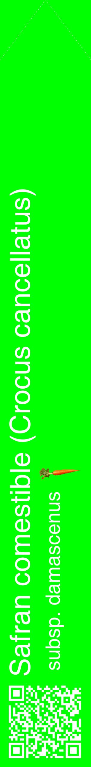 Étiquette de : Crocus cancellatus subsp. damascenus - format c - style blanche16_simplehel avec qrcode et comestibilité simplifiée